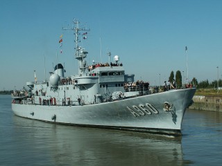 Godetia (A960)