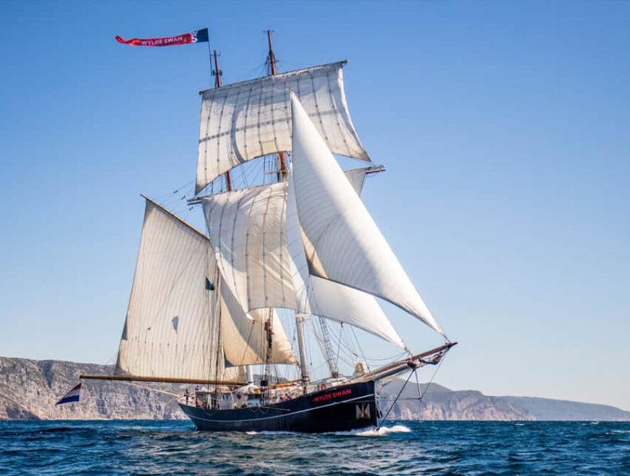 Wylde Swan